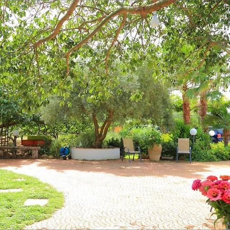 Villa Zahara Ribera Exterior photo