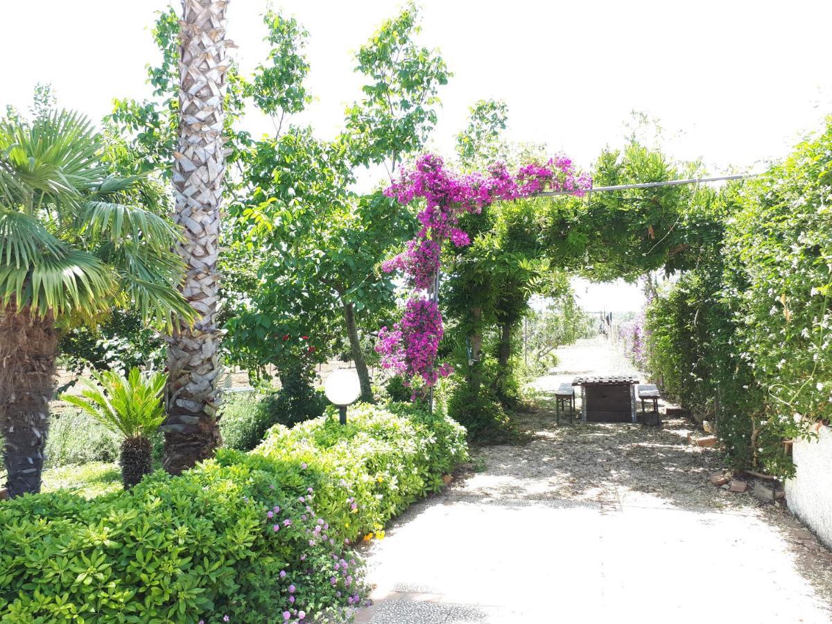 Villa Zahara Ribera Exterior photo